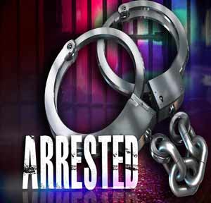 Traffic citation leads to four arrests | Ennis News